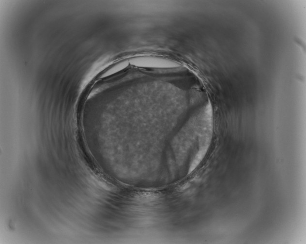 X0000095550198200801111501