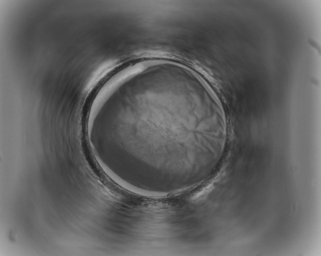 X0000095550199200801111501