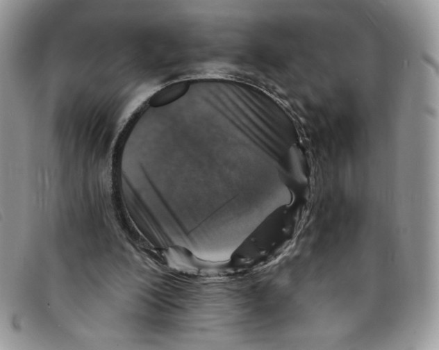 X0000095550200200801111501