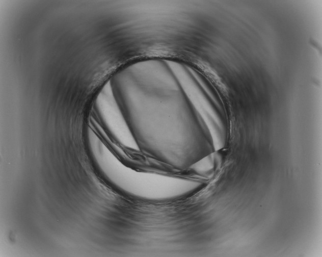 X0000095550201200801111501