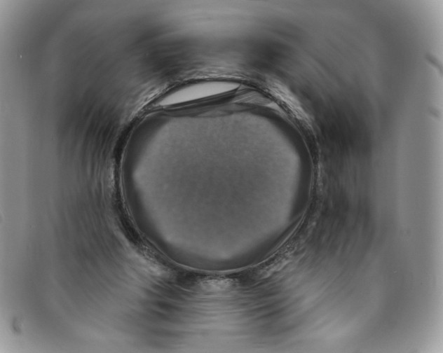 X0000095550202200801111501