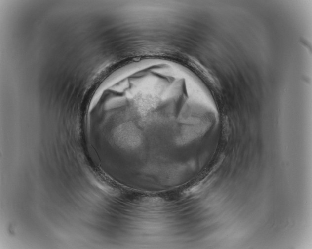 X0000095550203200801111501