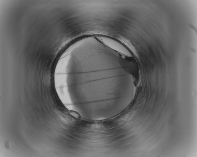 X0000095550204200801111501