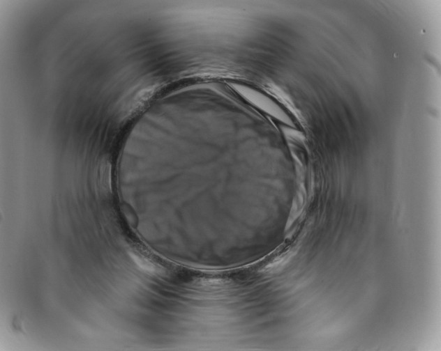 X0000095550205200801111501