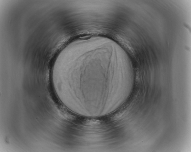 X0000095550206200801111501