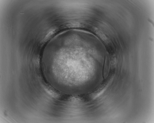 X0000095550207200801111501