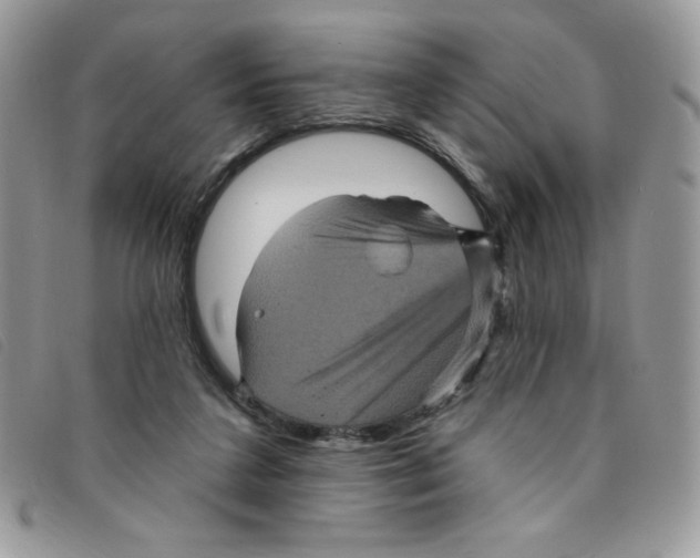 X0000095550211200801111501