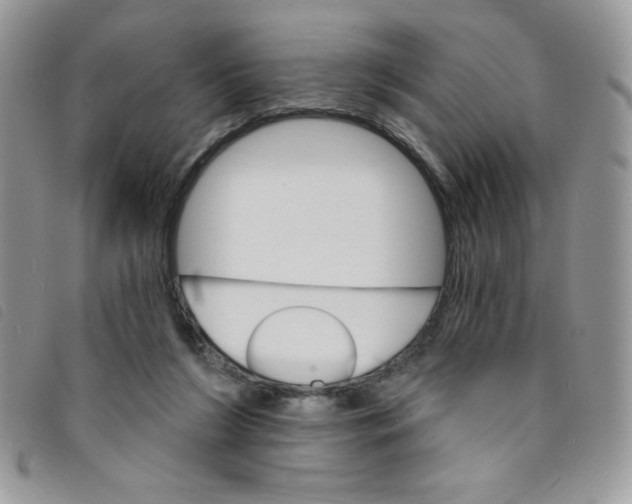 X0000095550212200801111501