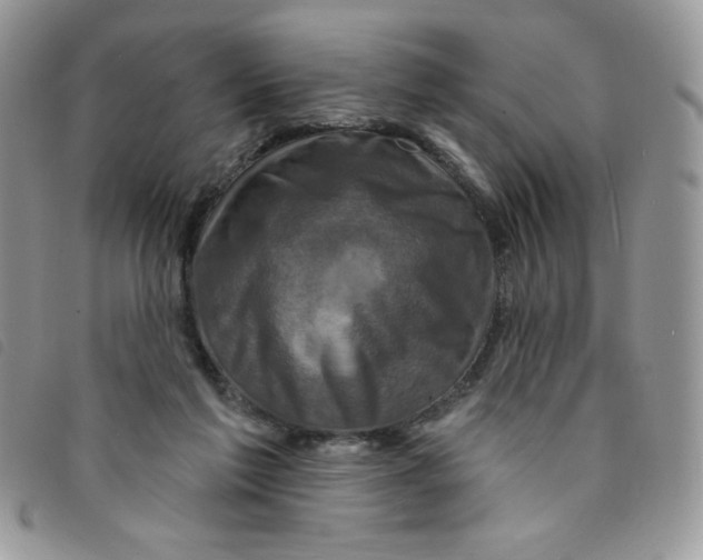 X0000095550213200801111501