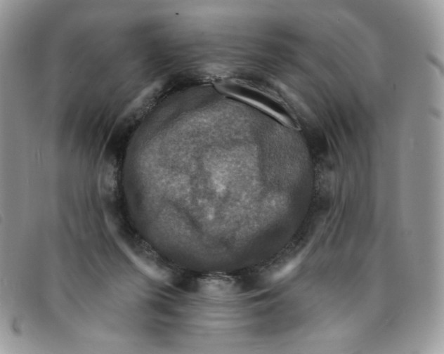 X0000095550215200801111501