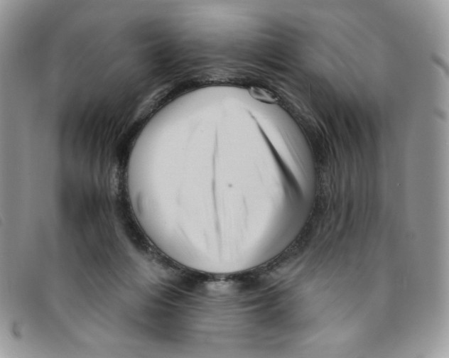 X0000095550216200801111501