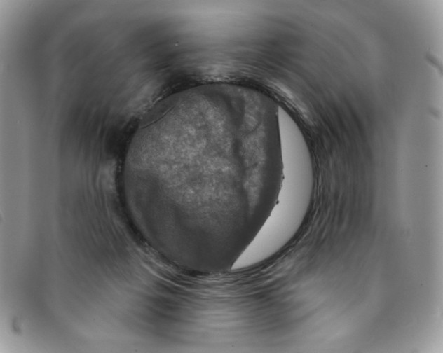 X0000095550217200801111501