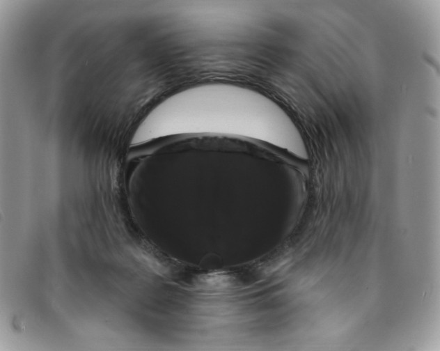 X0000095550219200801111501