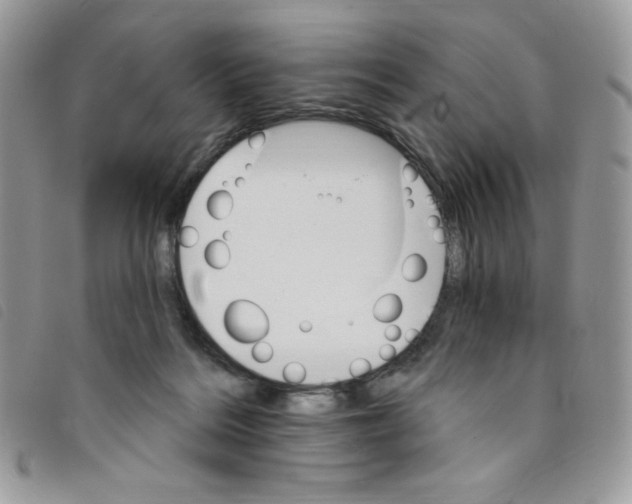 X0000095550220200801111501