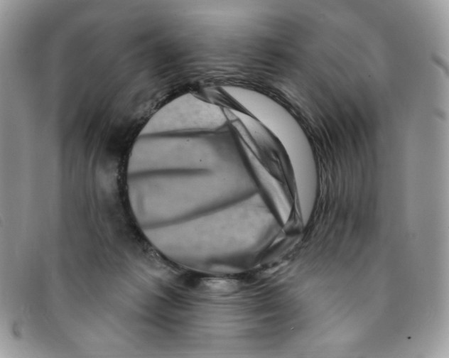 X0000095550221200801111501