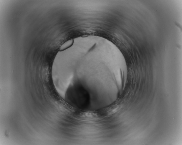 X0000095550223200801111501