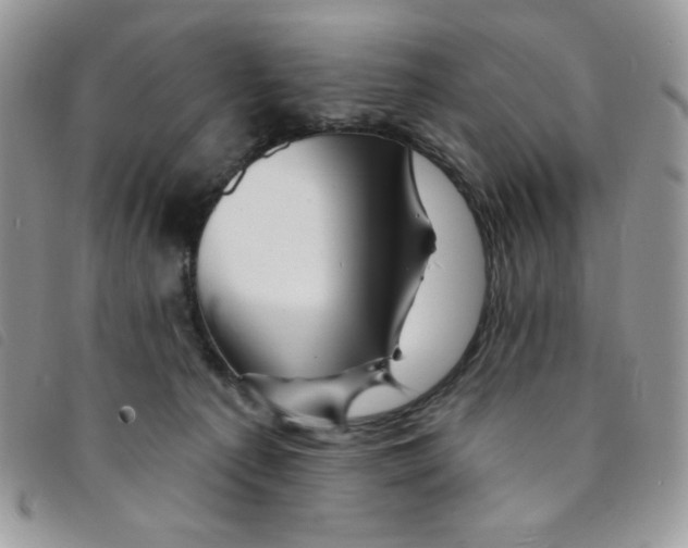 X0000095550225200801111500