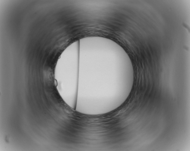 X0000095550228200801111500