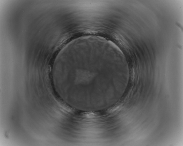 X0000095550229200801111500