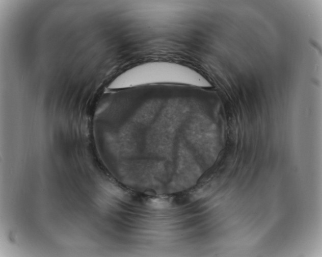 X0000095550232200801111500