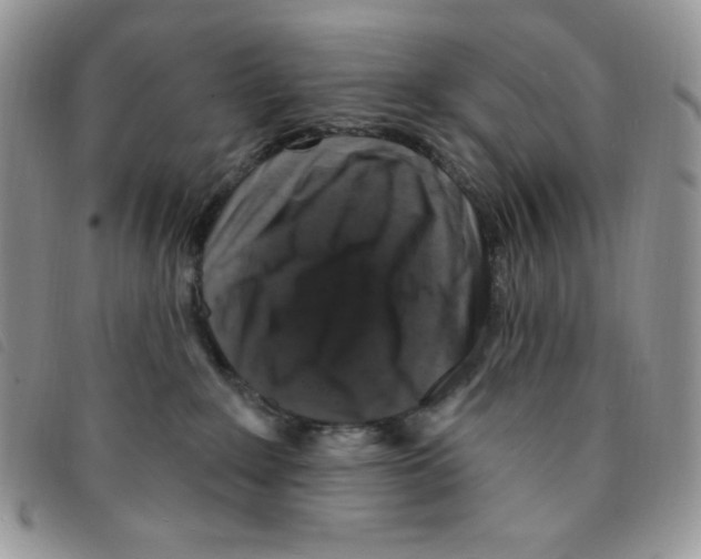 X0000095550235200801111500