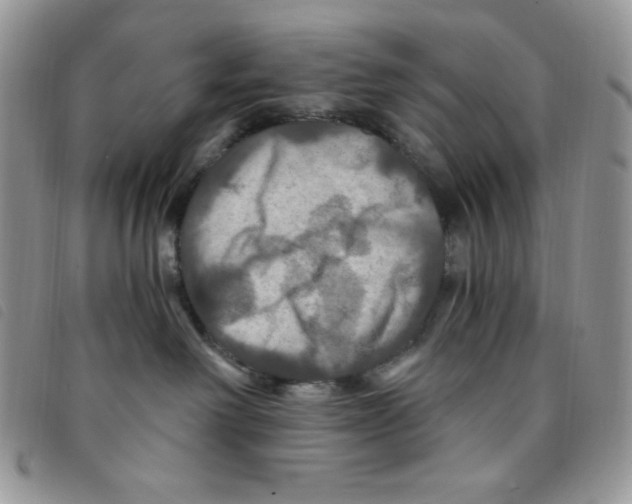 X0000095550238200801111500