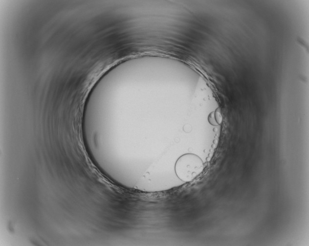 X0000095550241200801111500