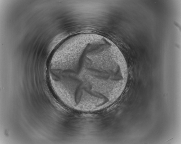 X0000095550242200801111500