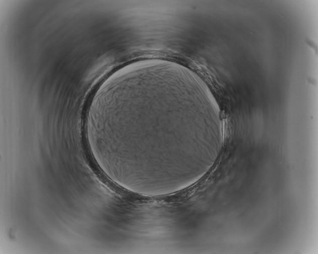 X0000095550243200801111500