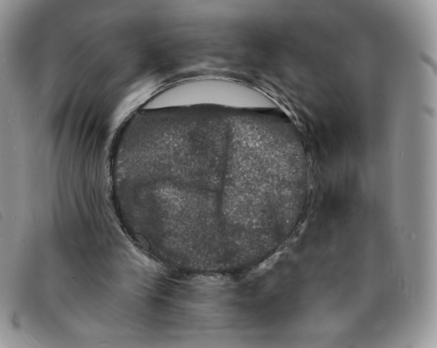 X0000095550245200801111500