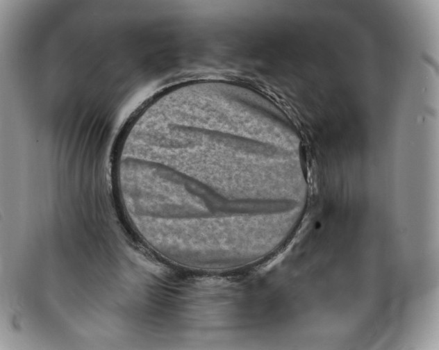 X0000095550246200801111500