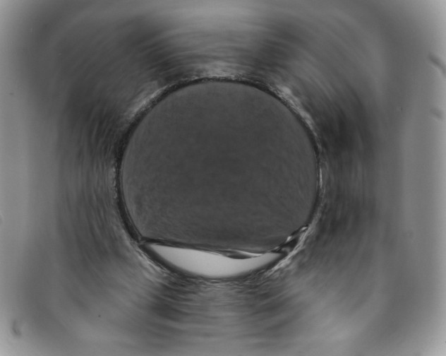 X0000095550249200801111500