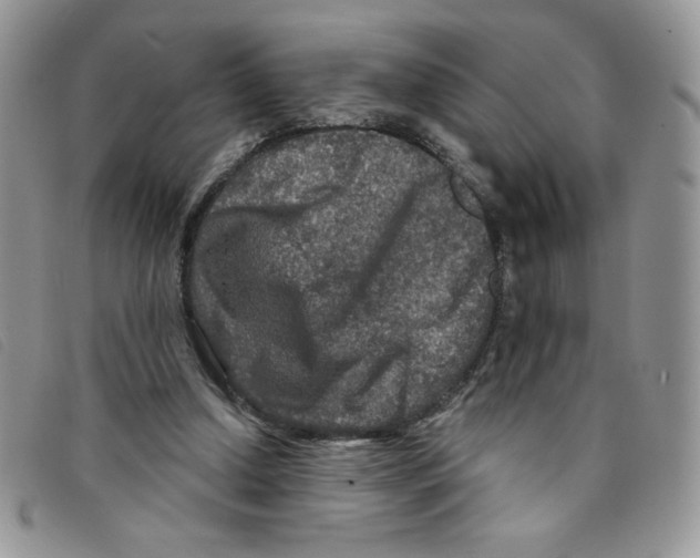 X0000095550250200801111500