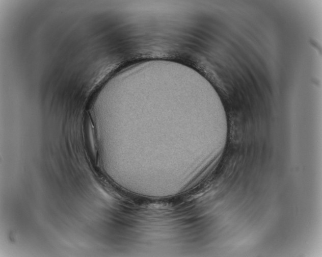 X0000095550251200801111500