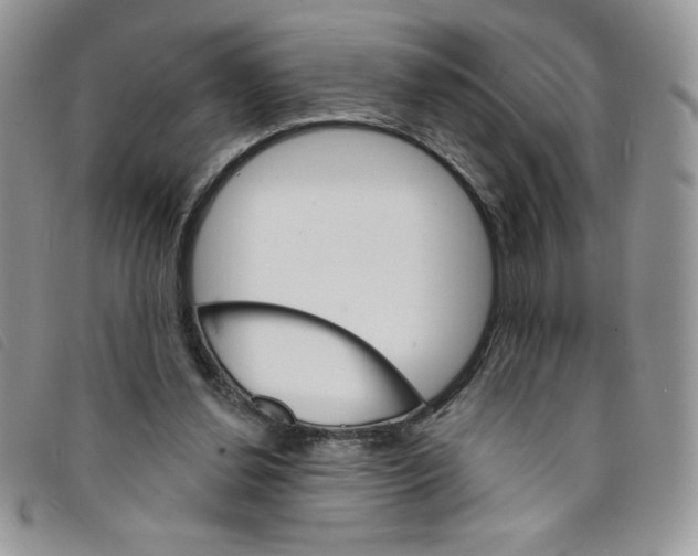 X0000095550252200801111500