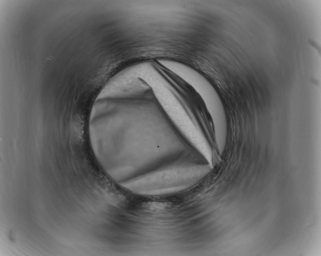 X0000095550255200801111500