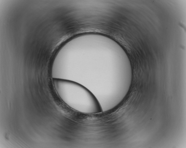 X0000095550256200801111500