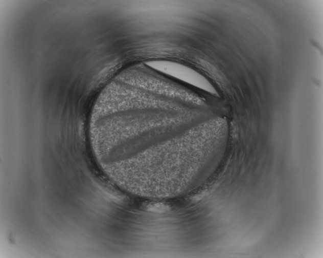 X0000095550258200801111500