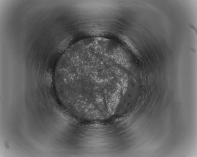 X0000095550259200801111500