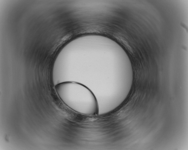 X0000095550260200801111500