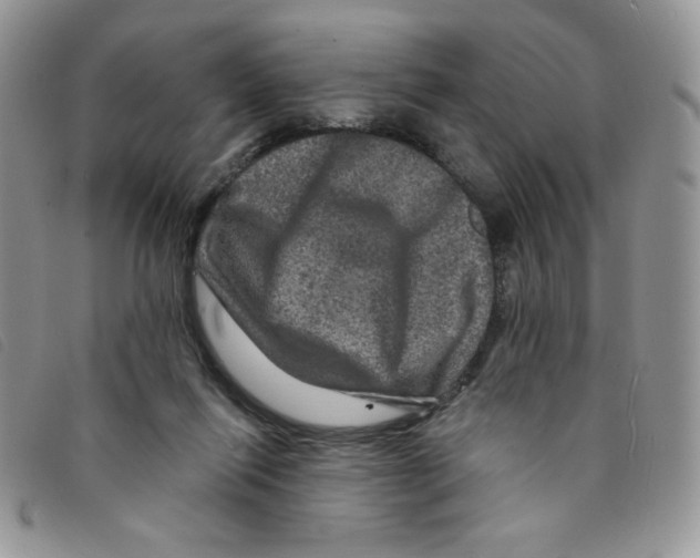 X0000095550262200801111500