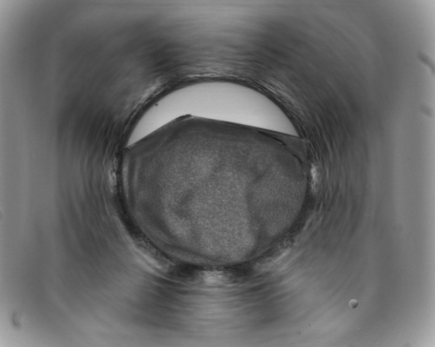 X0000095550264200801111500