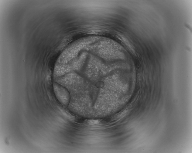 X0000095550265200801111500