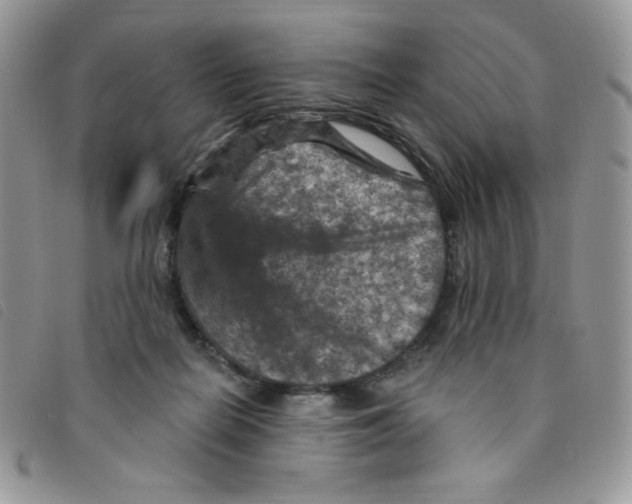 X0000095550266200801111500