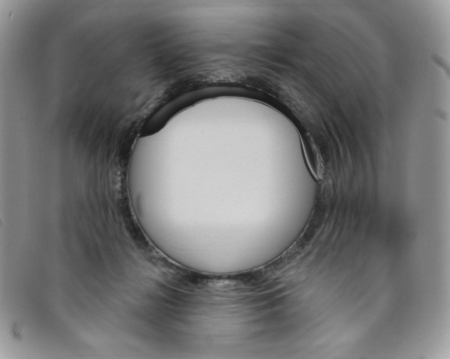 X0000095550268200801111500