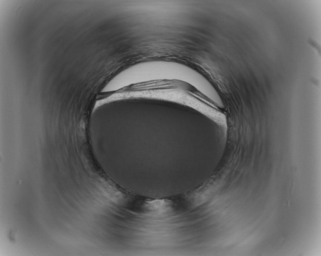 X0000095550269200801111500