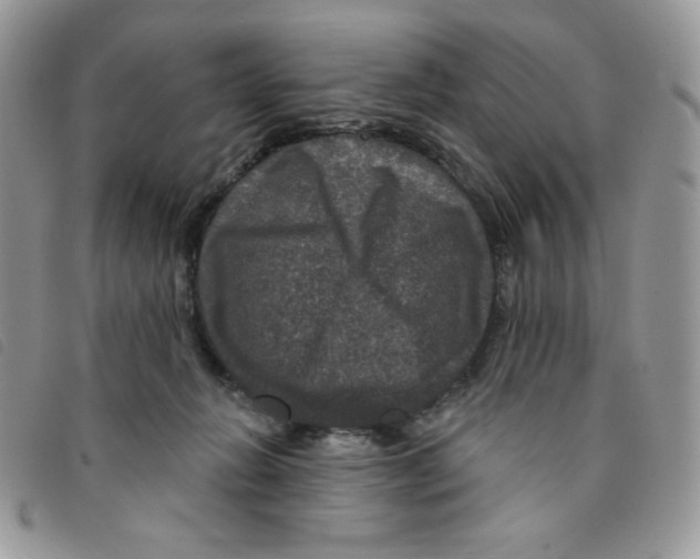 X0000095550270200801111500