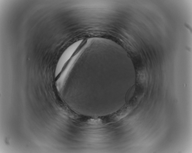 X0000095550271200801111500