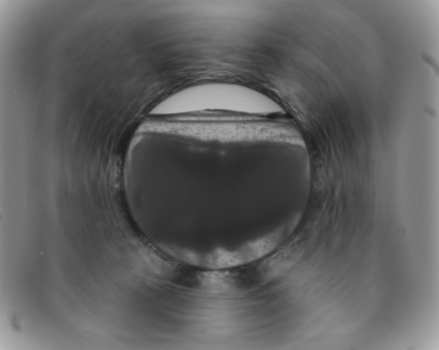 X0000095550273200801111500