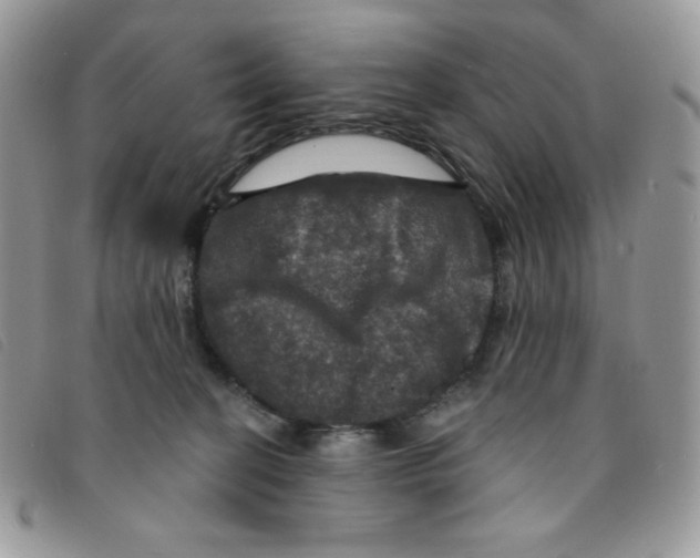 X0000095550274200801111500